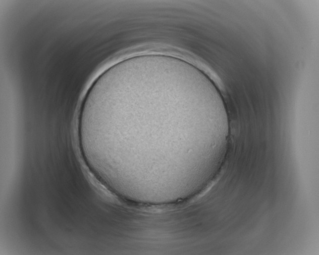 X0000111831530200908201141