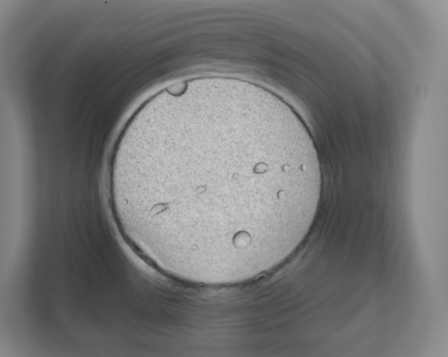 X0000111831531200908201141