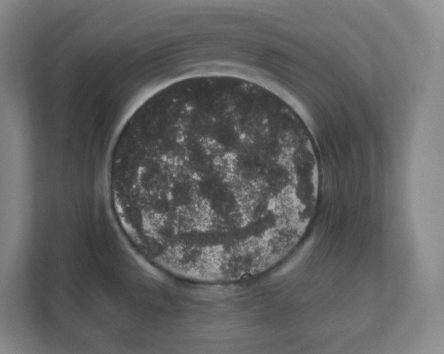 X0000111831533200908201141