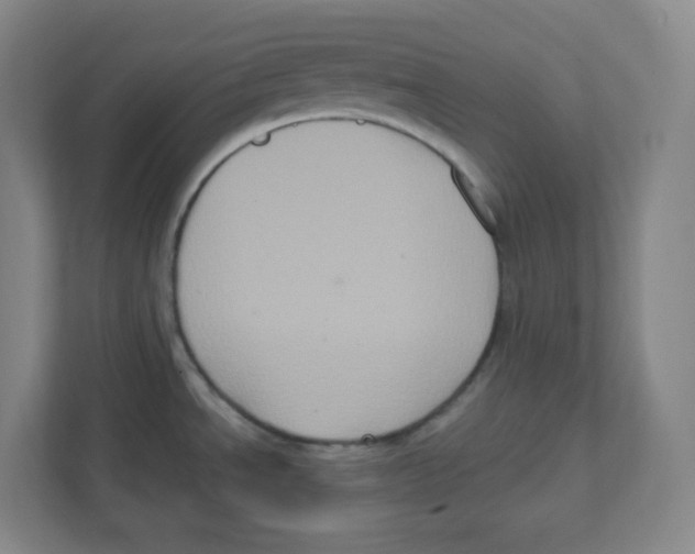 X0000111831534200908201141