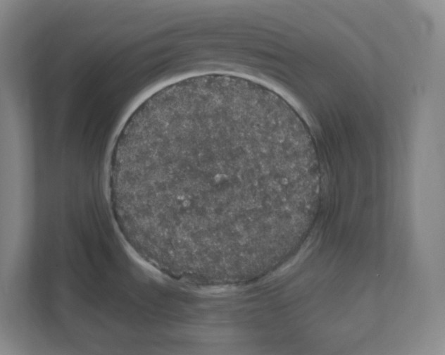 X0000111831535200908201141