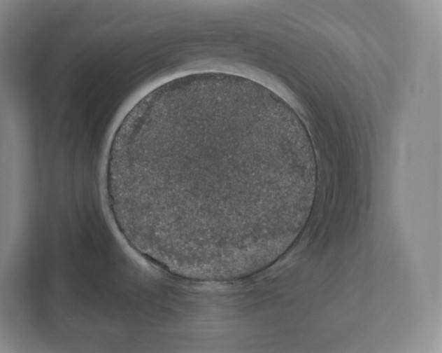 X0000111831536200908201141