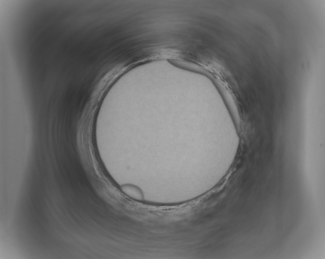 X0000111830001200909031523