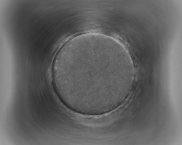 X0000111830002200909031523