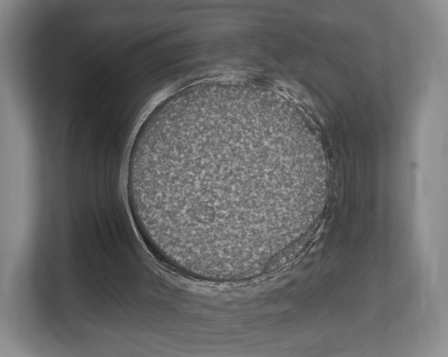 X0000111830003200909031523
