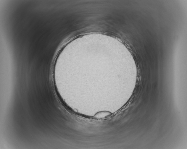 X0000111830004200909031523