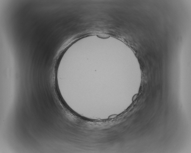 X0000111830005200909031523