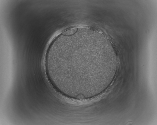 X0000111830006200909031523