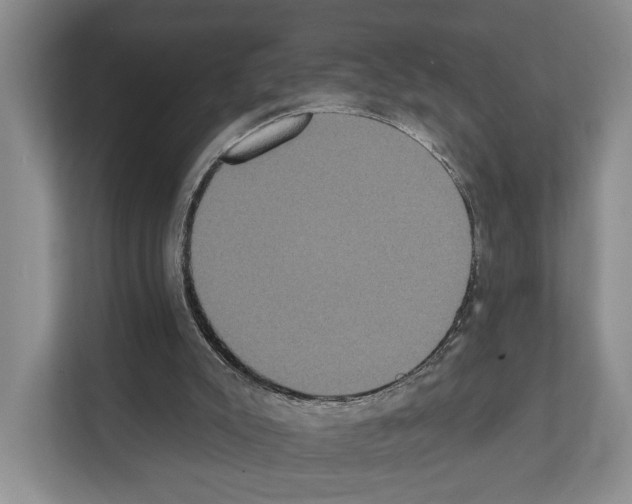 X0000111830007200909031523