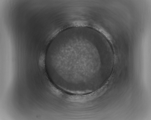 X0000111830009200909031522