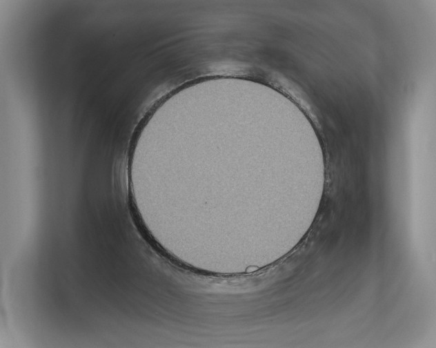 X0000111830011200909031522