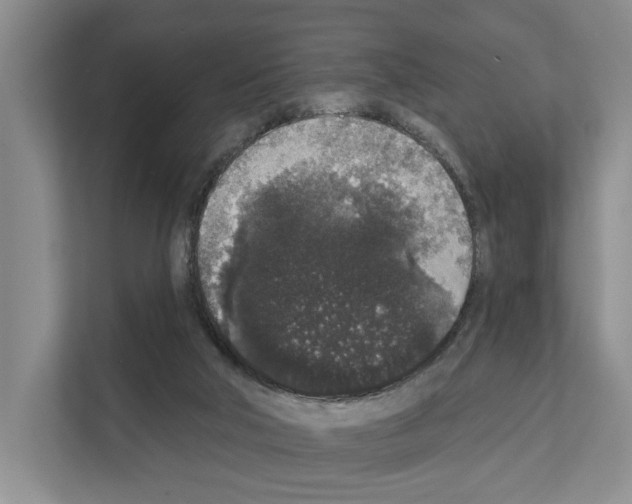 X0000111830018200909031522