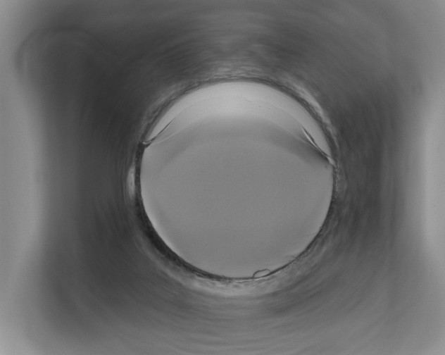 X0000111830019200909031522