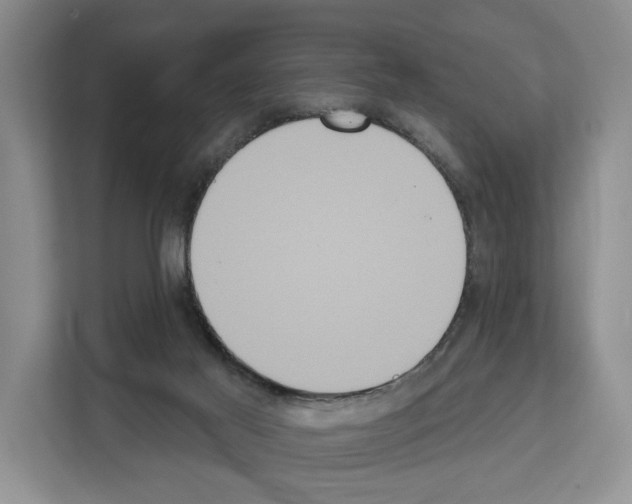 X0000111830021200909031522