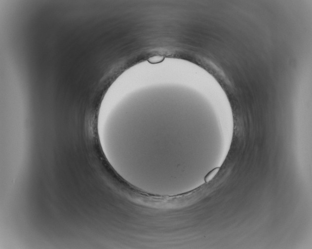 X0000111830023200909031522