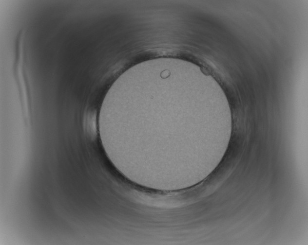 X0000111830028200909031522