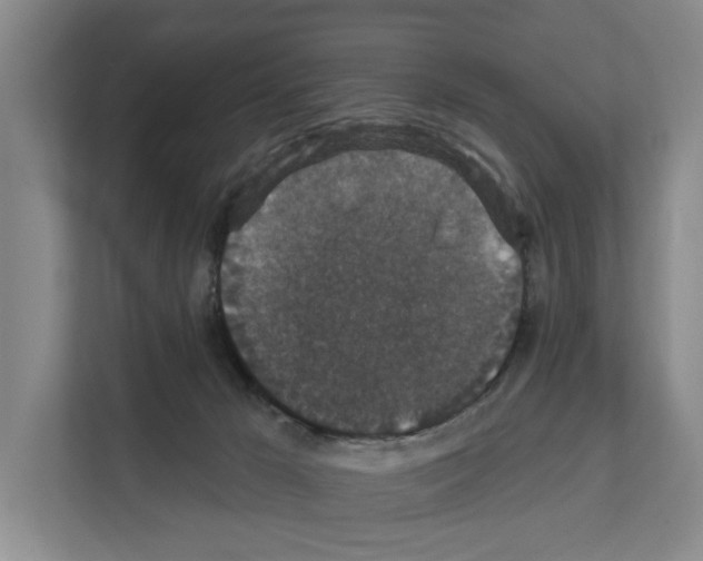 X0000111830029200909031522