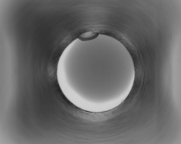 X0000111830031200909031522