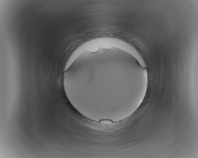 X0000111830035200909031522