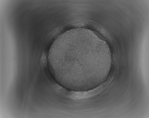 X0000111830037200909031522