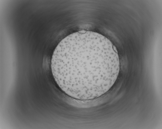 X0000111830038200909031522