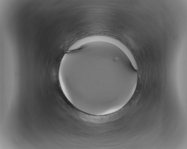 X0000111830039200909031522