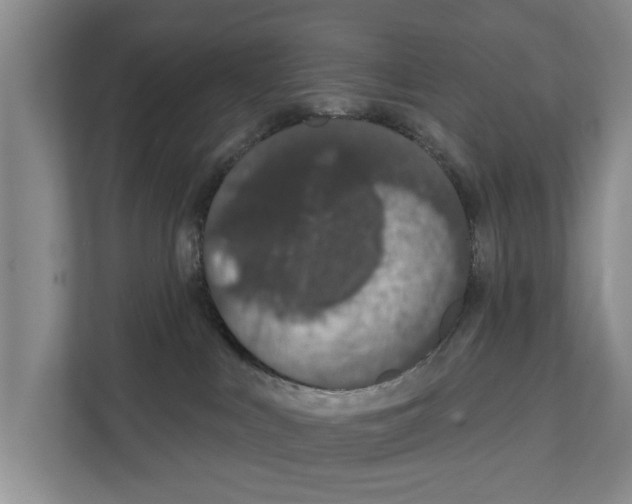 X0000111830043200909031522