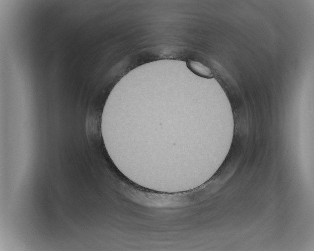 X0000111830044200909031522