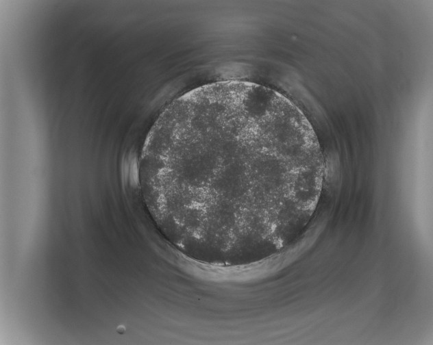 X0000111830046200909031522