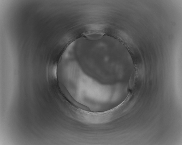 X0000111830047200909031522