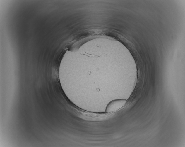 X0000111830048200909031522