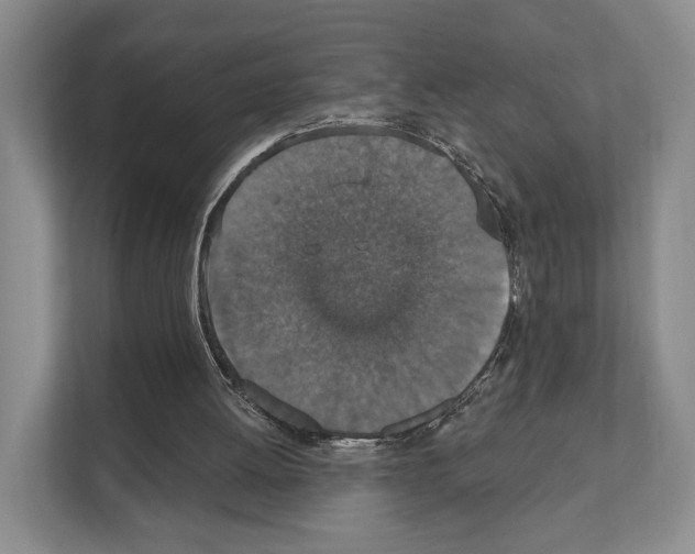X0000111830052200909031521