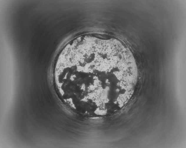 X0000111830053200909031521