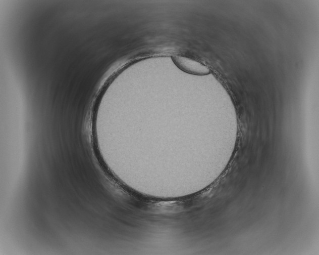 X0000111830054200909031521