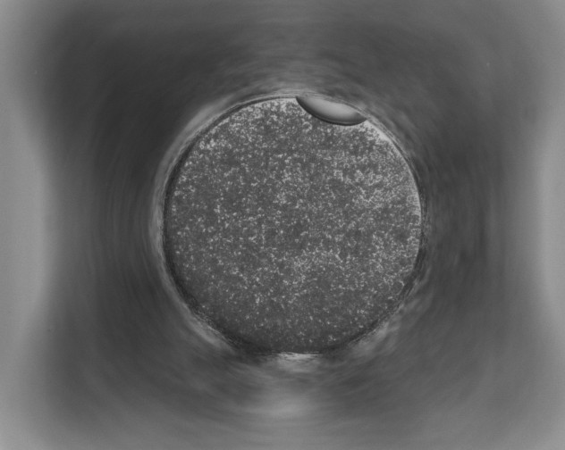 X0000111830055200909031521