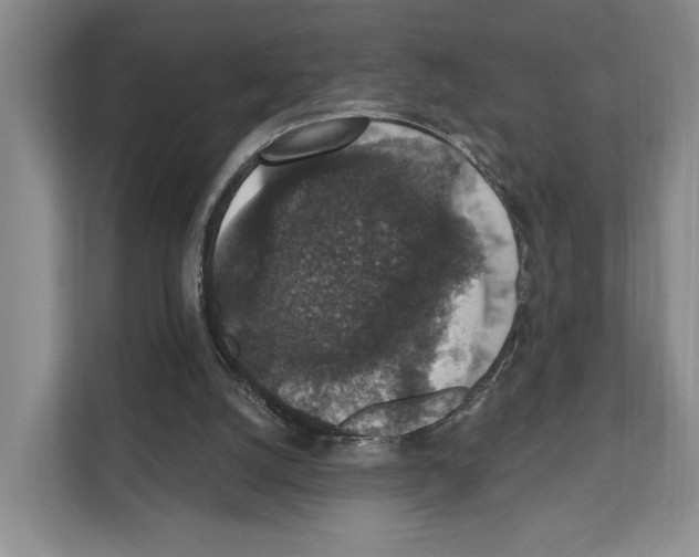 X0000111830056200909031521