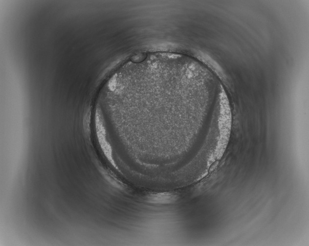 X0000111830058200909031521