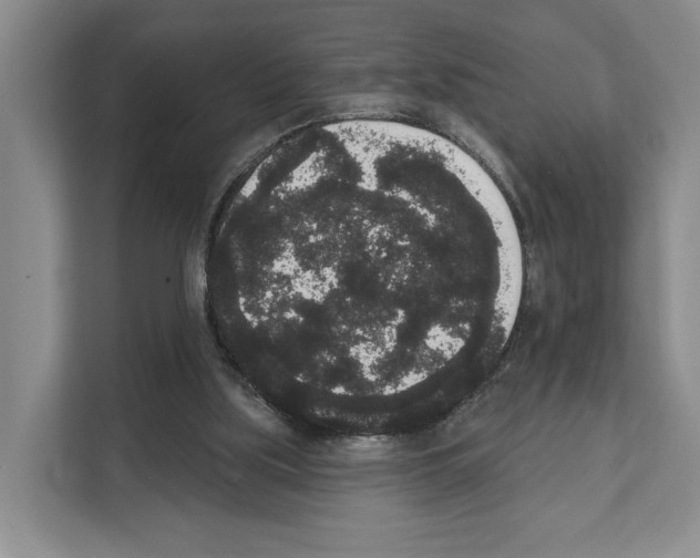 X0000111830059200909031521
