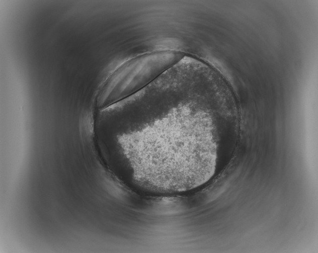 X0000111830060200909031522