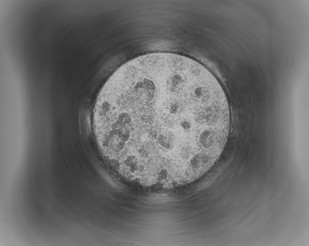X0000111830061200909031522