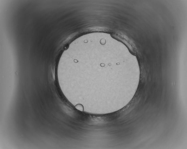 X0000111830062200909031522