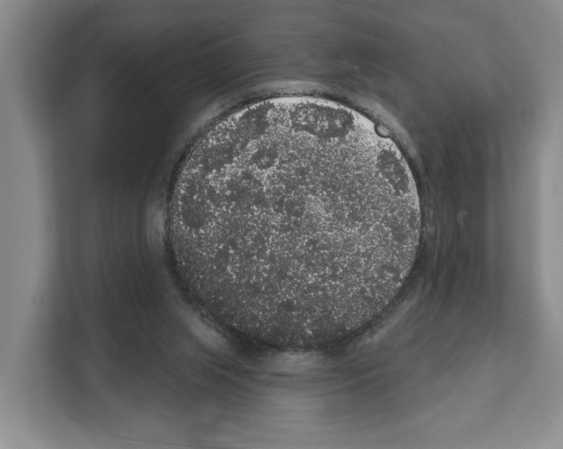 X0000111830063200909031522
