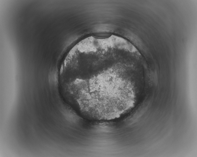 X0000111830064200909031522