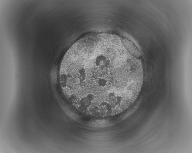 X0000111830065200909031522