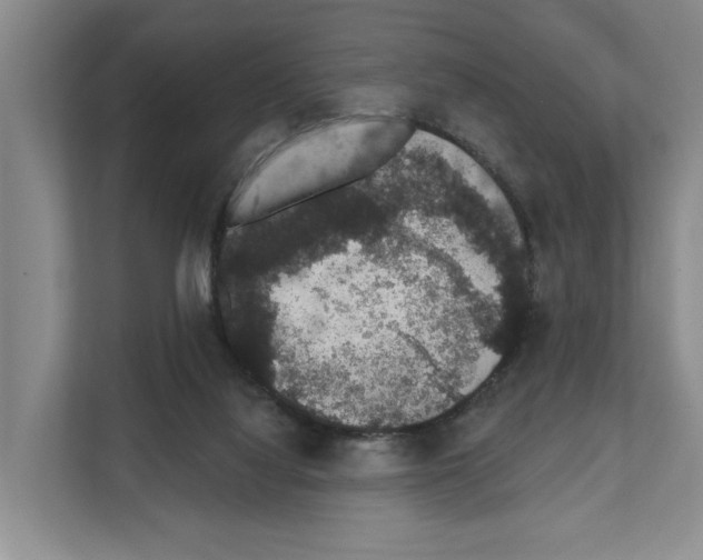 X0000111830068200909031522