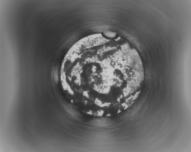 X0000111830069200909031522