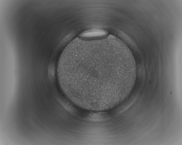 X0000111830072200909031522