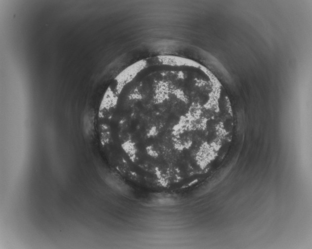 X0000111830073200909031522