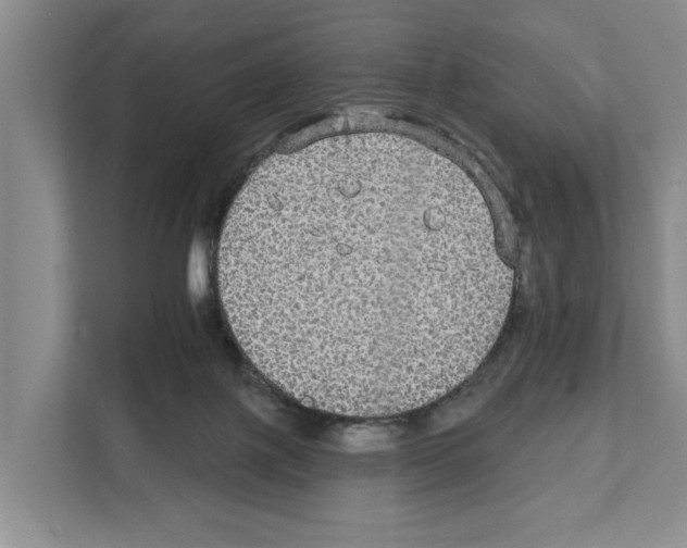 X0000111830075200909031522