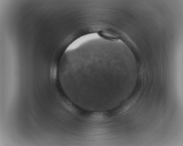 X0000111830076200909031522